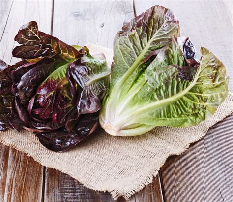 Rouge D Hiver Romaine Lettuce Seeds Lactuca Sativa 500 Heirloom