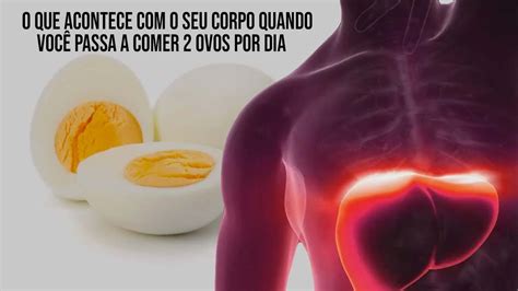 O Que Acontece Seu Corpo Quando Voc Come A A Comer Ovos Por Dia