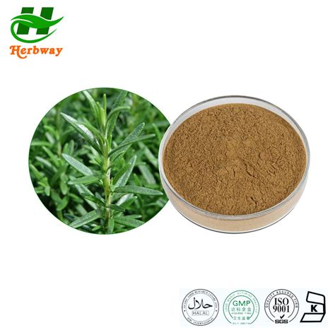 Herbway Herb Plant Extract Kosher Halal Fssc Haccp Certified Rosemary