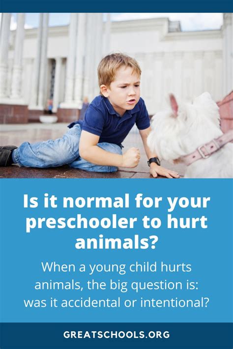 Is it normal for young kids to hurt animals? | It hurts, Preschool, Child development