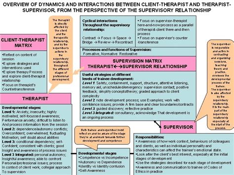 Overview Of Dynamics And Interactions Between Clienttherapist And