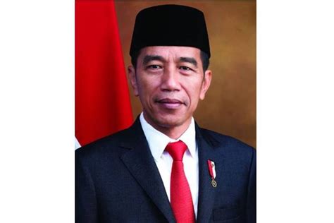 infografik profil joko widodo presiden ri