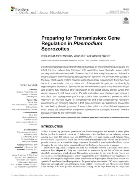 Pdf Preparing For Transmission Gene Regulation In Plasmodium Sporozoites