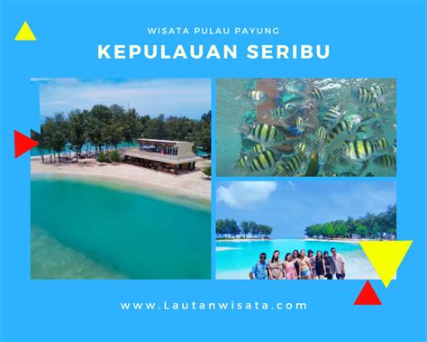 Paket Wisata Pulau Payung Harga Promo Murah 2023 Paket Wisata Pulau