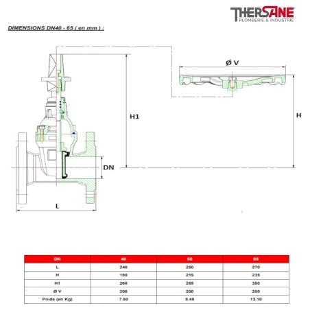 Vanne à opercule caoutchouc F5 FSH Diamètre DN DN 40 Raccordement à