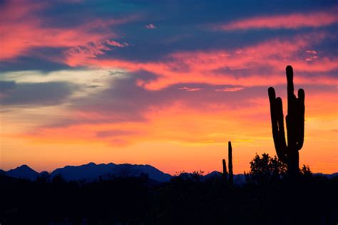 Arizona Sunset Pictures | Download Free Images on Unsplash