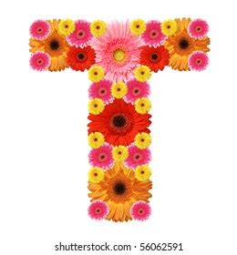 Daisy Flower Alphabet Letters Over 3 289 Royalty Free Licensable Stock