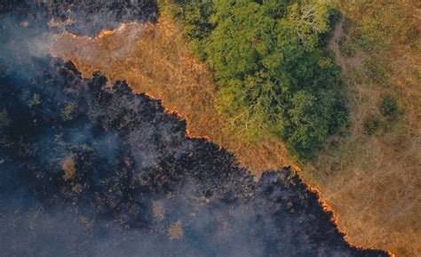 Fuego Y Desmonte La Hipocresía De Valdés Y Cabandié Ante Los Incendios