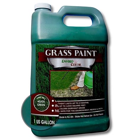 Buy EnviroColor4EverGreen Grass and Turf Paint | 1 Gallon Treats 4000 ...