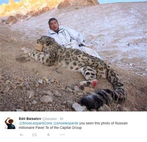 What is the truth behind the death of this snow leopard?