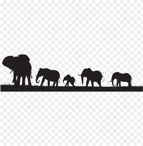 herd of elephants silhouette PNG image with transparent background | TOPpng