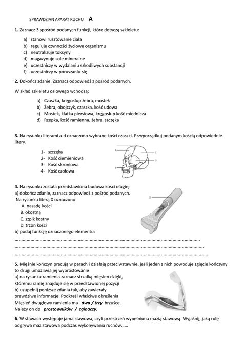 Sprawdzian dział II kl7 A SPRAWDZIAN APARAT RUCHU A 1 Zaznacz 3
