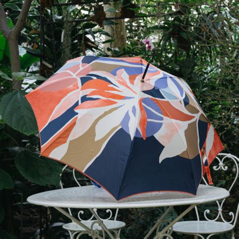 Parapluie Pour Femme Chic Et Tendance