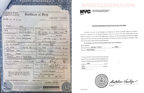 Can You Apostille Your Nyc Birth Certificate