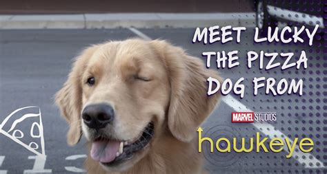 Hawkeye Behind the Scenes Video Is All About PIZZA DOG