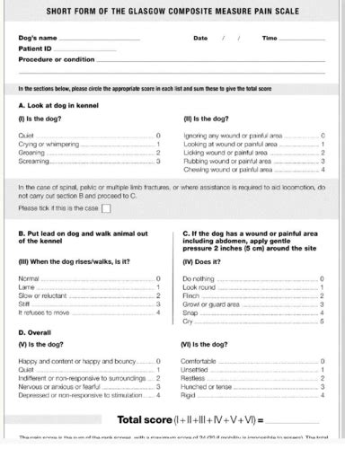 A Analgesia Flashcards Quizlet