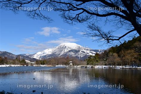 【滋賀】凍った三島池と雪景色の伊吹山が水面にうつり美しいの写真素材 182793691 イメージマート