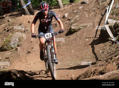 Coppa Del Mondo Di Mountain Bike Uci Val Di Sole Gran Finale