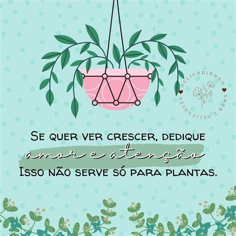 Pare De Mandar Mensagem E Veja Quantas Plantas - 19 melhores ideias de frases mãe de plantas | plantas, frases e ...