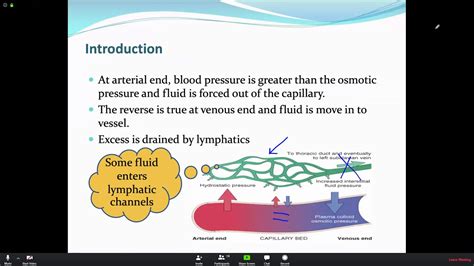 Pathology Hemodynamics Part I Youtube