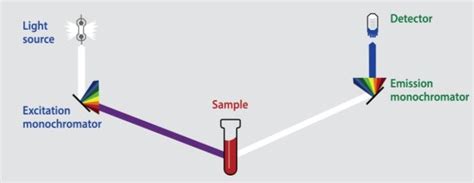 The Schematic Diagram Of The Fluorescence Spectroscopy Download