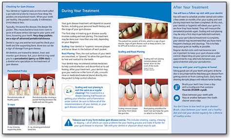 ADA Brochure Scaling And Root Planing SmartPractice Dental