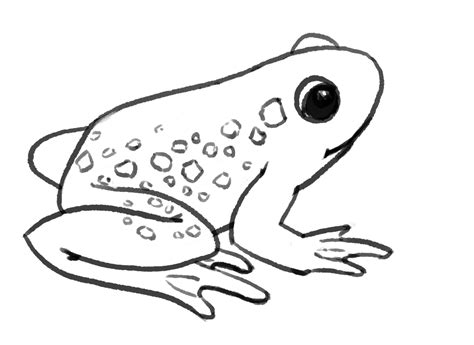 How To Draw A Frog The Good And The Beautiful Blog