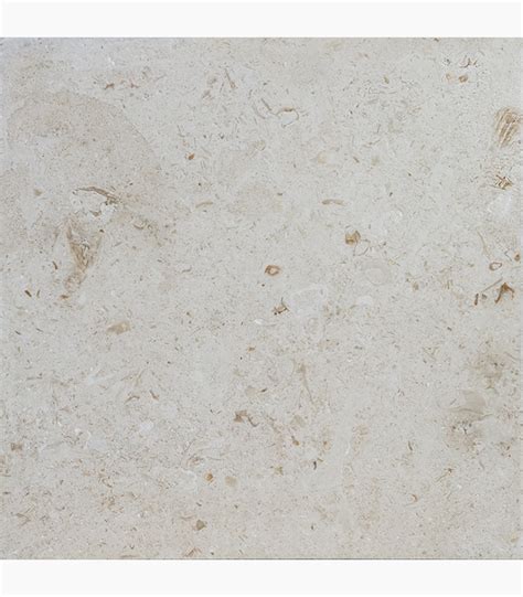 24x24 SHELL STONE BRUSHED LIMESTONE TILE Travertine Warehouse