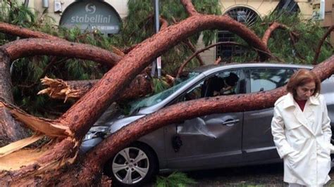 Ascienden A Doce Los Muertos Por El Temporal De Lluvia Y Viento En