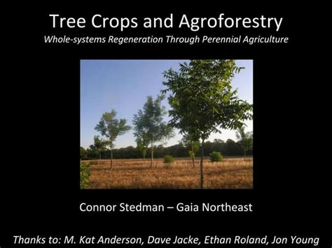 Tree Crops & Agroforestry - Young Farmers 09 | PPT