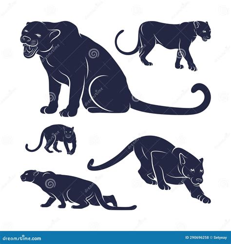 Set Of Panther Vector Illustration Design Panther Logo Design Template