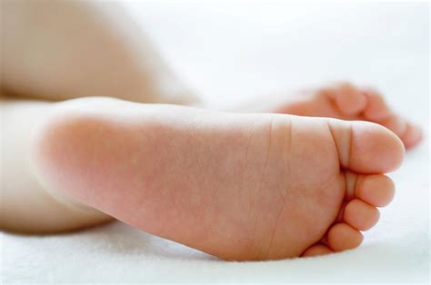 Baby S Feet Photograph By Paul Whitehill Science Photo Library Fine