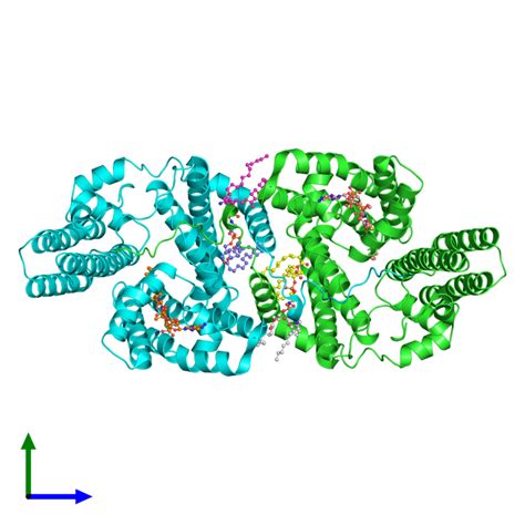 PDB 6vz1 Gallery Protein Data Bank In Europe PDBe EMBL EBI