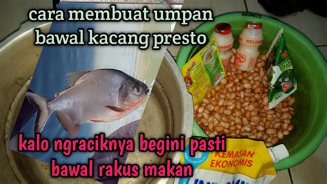 Cara Membuat Umpan Bawal Kacang Presto Untuk Mancing Harian Galatama