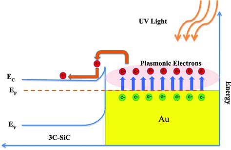 The Energy Band Diagram Showing The Photoexcited Electron Transfer At