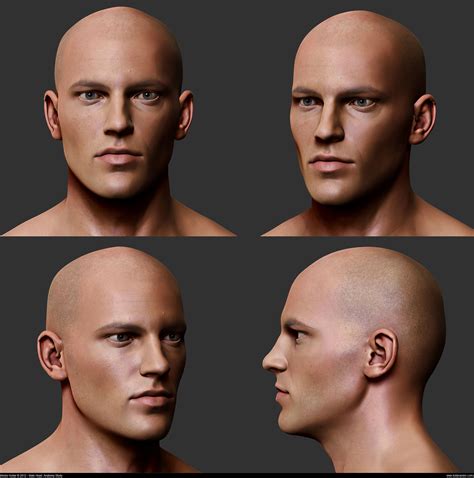 Male Head Anatomy Study Image 4 Male Face Anatomy Anatomy For