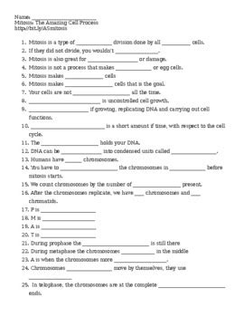 Amoeba Sisters Mitosis: The Amazing Cell Process Worksheet | TpT