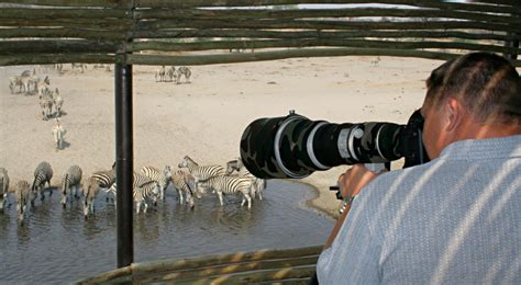 Photographic Safari - BELAFRIQUE - Our African Experiences in Safari & Wildlife