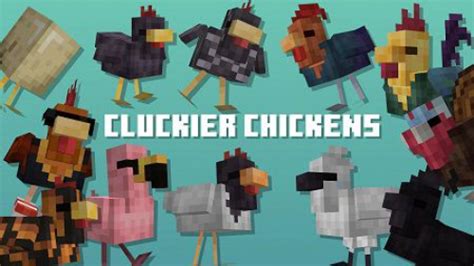 Cluckier Chickens Texture Pack Texture Packs Minecraft Pe