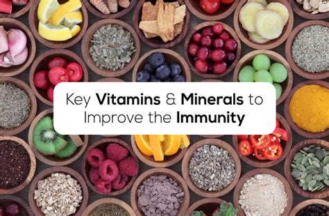 Key Vitamins & Minerals to Improve the Immunity - Truebasics Blog