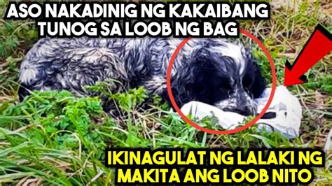 Aso Nakadinig Ng Kakaibang Tunog Sa Loob Ng Bag Ikinagulat Ng Lalaki