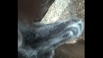 Handshake Videos XVIDEOS