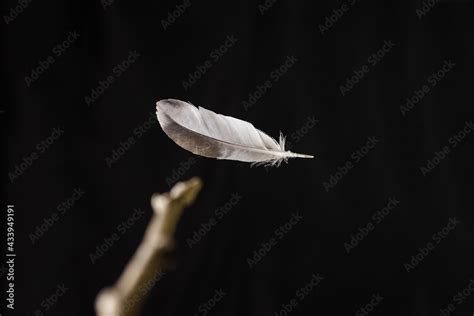 Levitating A Birds Feather With A Magic Wand The Magic Wand Is In