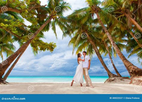 Loving Couple On Tropical Beach With Palm Trees Wedding O Stock Image