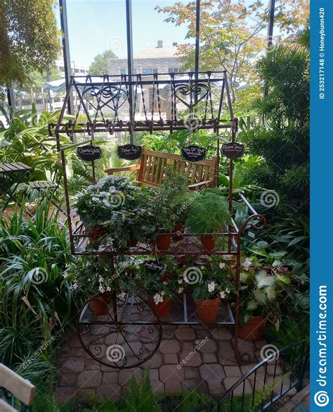 Fort Wayne, in Botanical Garden Conservatory Stock Photo - Image of ...