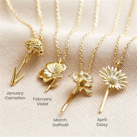 January Carnation Birthflower Necklace In Gold