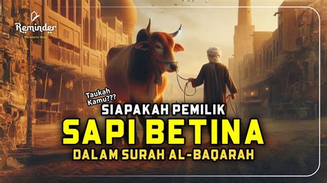 Kisah Pemilik Sapi Betina Yang Dikisahkan Di Dalam Surah Al Baqarah