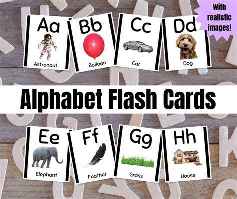 Alphabet Flash Cards With Realistic Images Learn the Abcs at Home ...