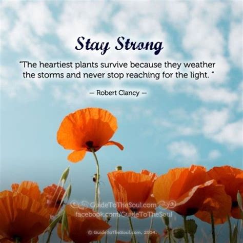 Inspirational Quotes For Healing And Strength - Ileana Jackqueline