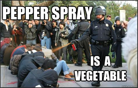 Correctional Officer Gear Pepper Spray Oc Spray The Toughest Beat